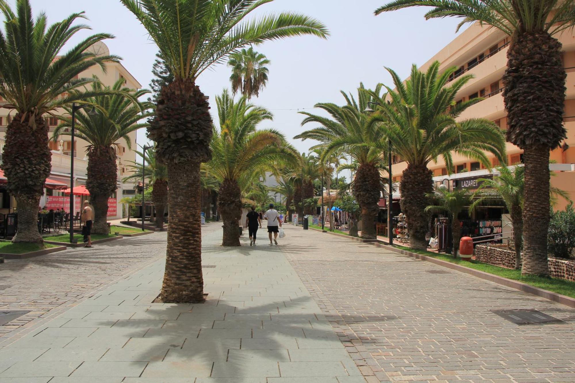 Los Cristianos - Two Bedrooms - Flayla-C Εξωτερικό φωτογραφία