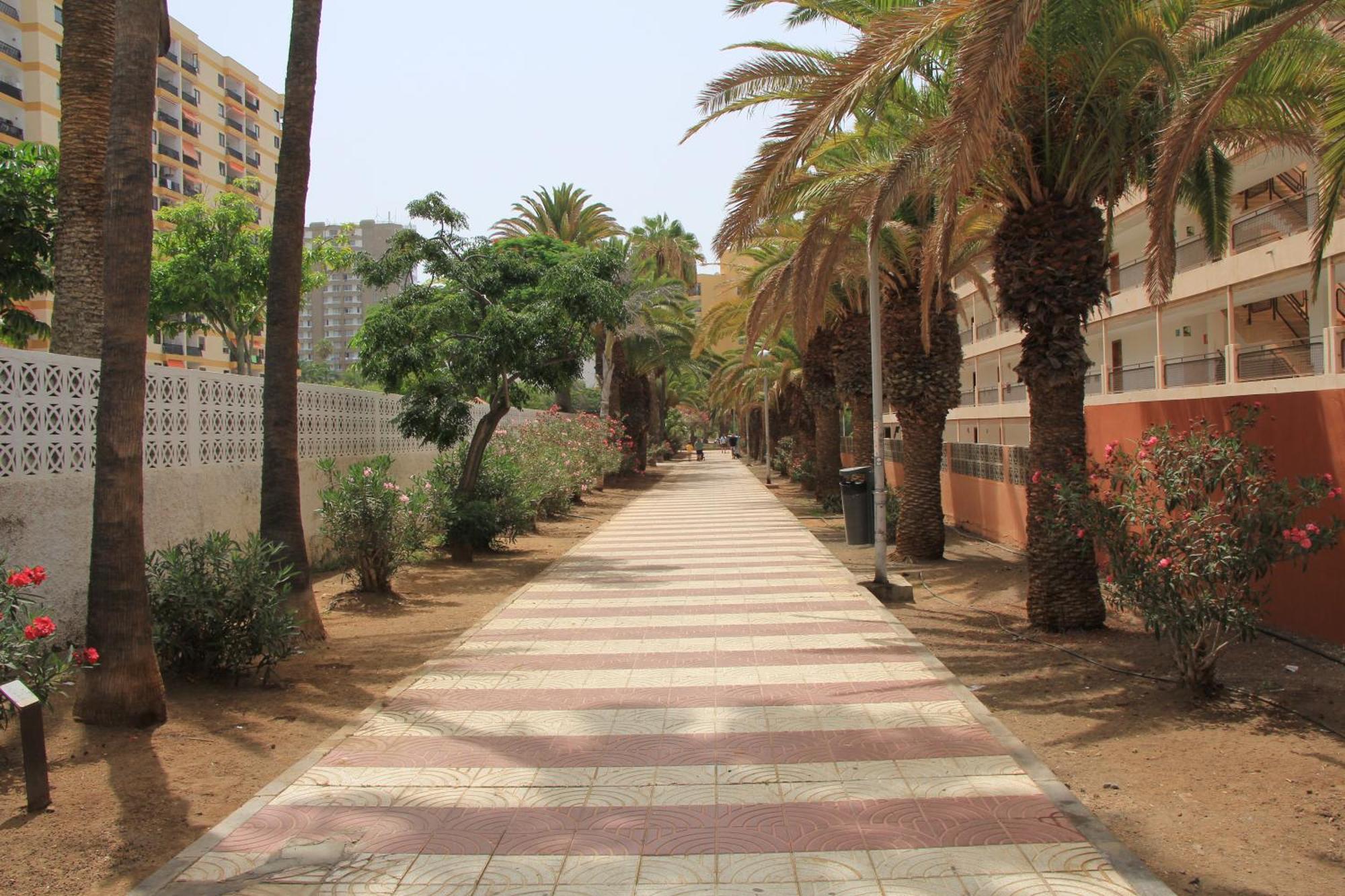 Los Cristianos - Two Bedrooms - Flayla-C Εξωτερικό φωτογραφία